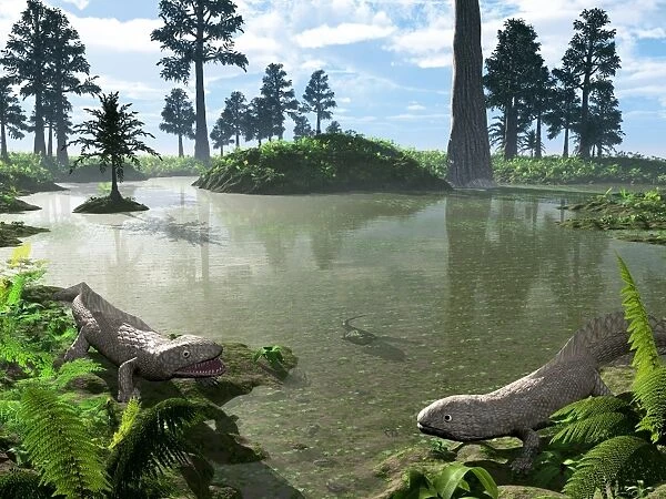 Prehistoric pond, artwork