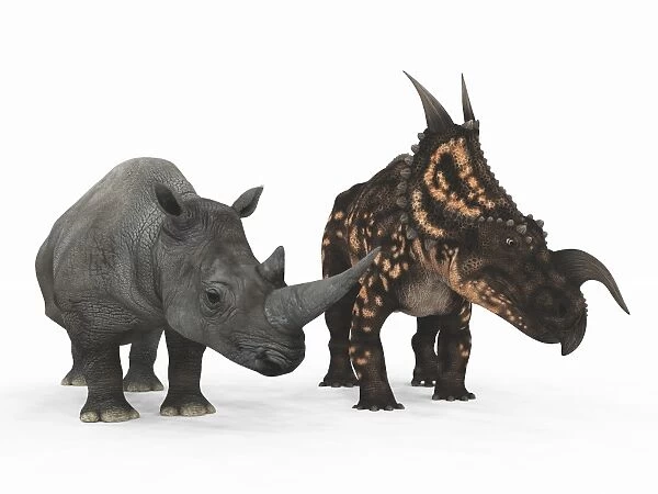 Rhino and Einiosaurus dinosaur