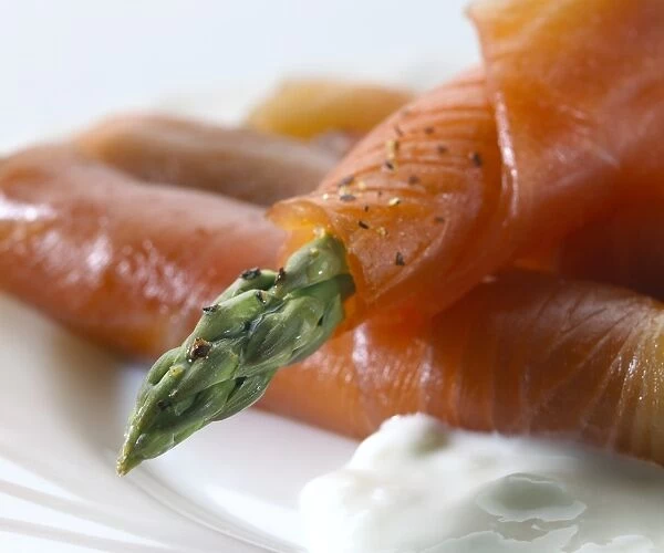 Salmon and asparagus with mayonnaise C014  /  1423
