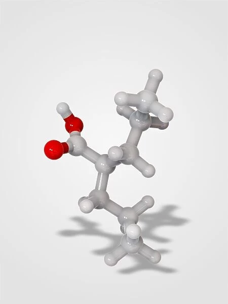 Valproic acid anticonvulsant molecule C014  /  2295