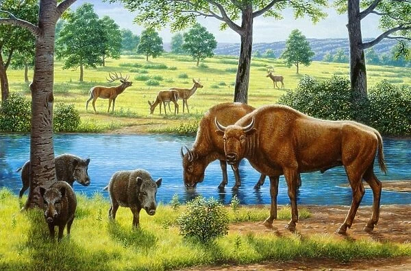 Wildlife of the Pleistocene era