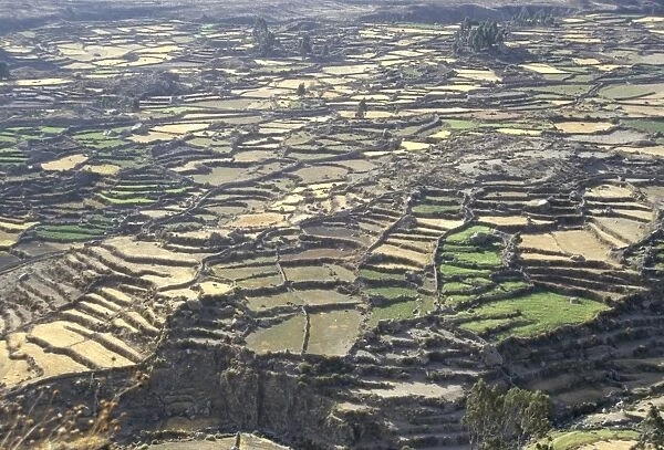 Aerial view of Inca terraces