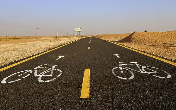 Al Qudra cycling path near Dubai, United Arab Emirates, Middle East