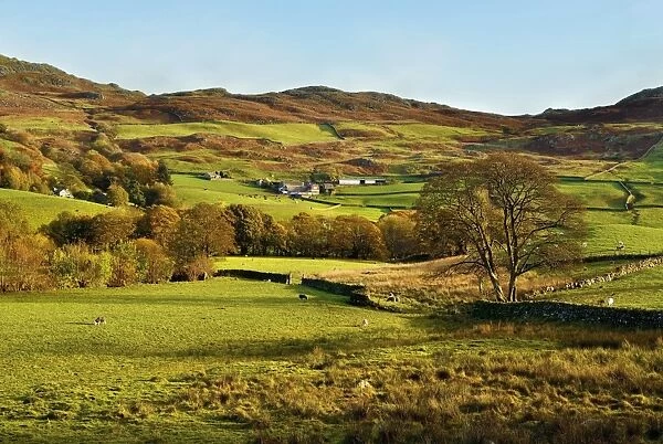 An autumn view of the scenic Duddon Valley, Lake District National Park, Cumbria