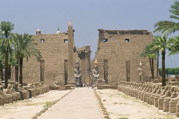 Avenue of sphinxes looking towards statues of Ramses II, Luxor Temple, Luxor