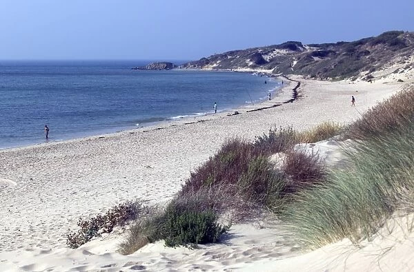 Beach, Tarifa