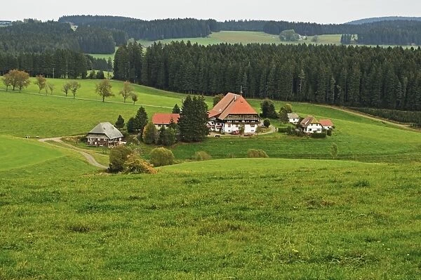 Black Forest Farmhouse, near Neukirch, Black Forest, Baden-Wurttemberg, Germany, Europe
