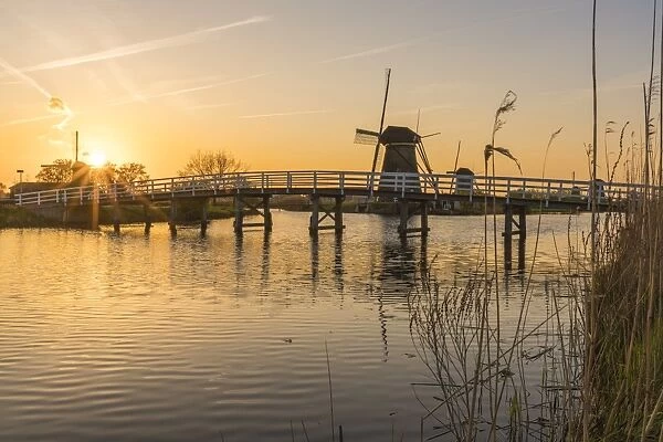 Bridge over the canal with windmills and reeds in the foreground at sunset, Kinderdijk