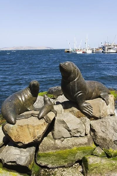 Bronze statues of seals at Salamanca Harbour, Hobart, Tasmania, Australia, Pacific
