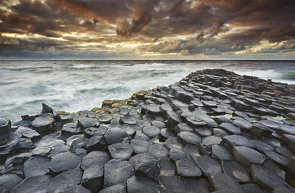 An evening view of the Giants Causeway, UNESCO World Heritage Site, County Antrim