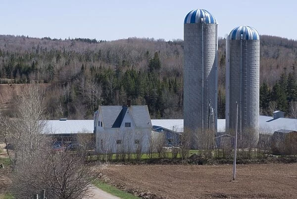 Farm, Cape Breton, Nova Scotia, Canada, North America