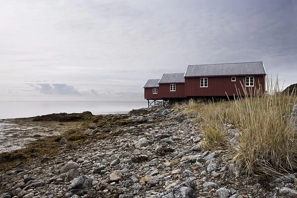 Three fishermens cabins (rorbuer), Lofoton Islands, Norway, Scandinavia, Europe