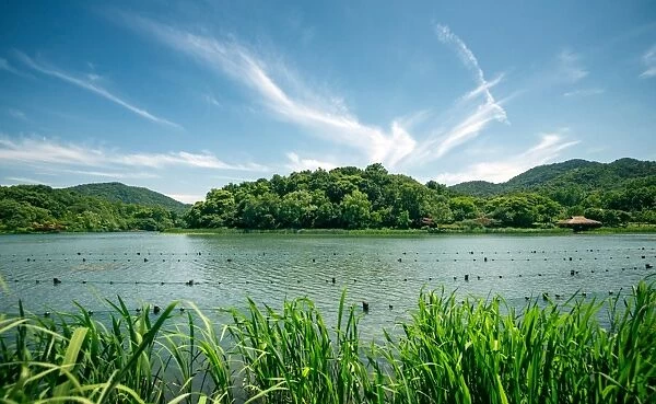 Green landscape with lake and lush hills in Hangzhou, Zhejiang, China, Asia