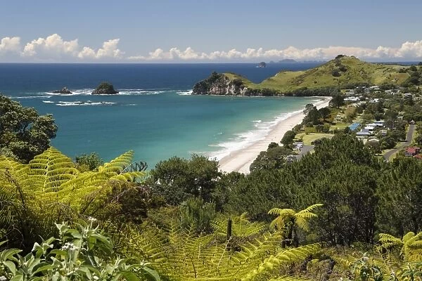 Hahei beach, Hahei, Coromandel Peninsula, Waikato, North Island, New Zealand, Pacific