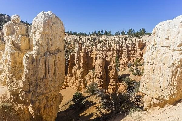 Hoodoo rock formations from the Fairyland Trail, Bryce Canyon National Park, Utah, United States of America, North America