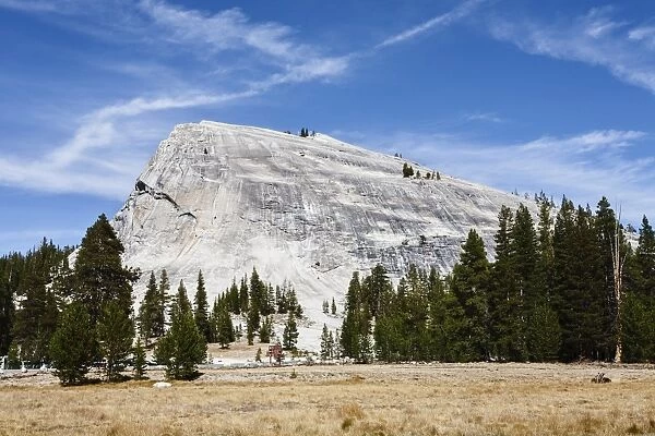 Lembert Dome, Yosemite National Park, UNESCO World Heritage Site, California, United States of America, North America