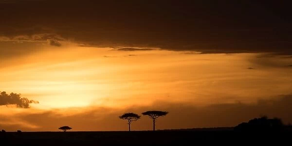 Masai Mara at sunset, Kenya, East Africa, Africa