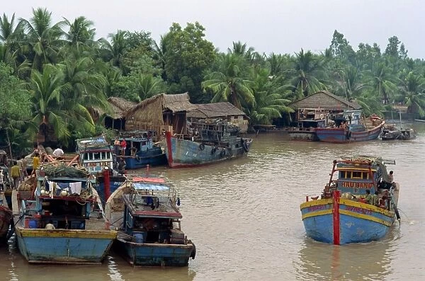 The Mekong Delta River Mouth