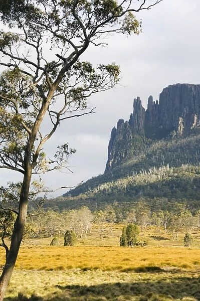 Mount Oakleigh at New Pelion on the Overland Track, Cradle Mountain Lake St