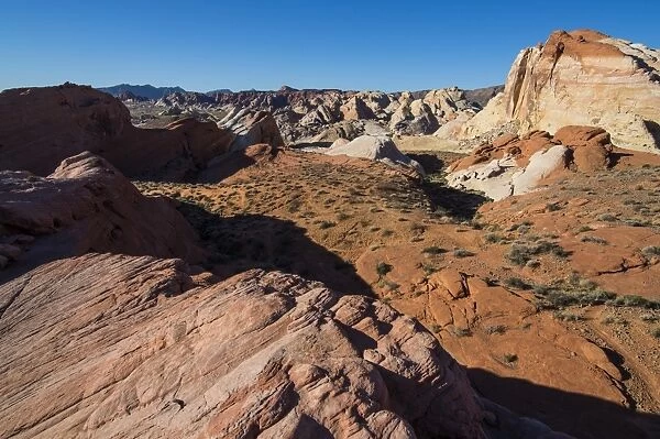 Redrock Sandstone formations at sunrise in the Valley of Fire State Park, Nevada, United States of America, North America