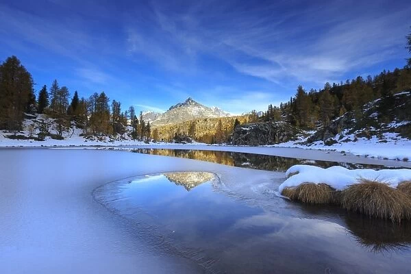 Rocky peaks and larches reflected in the frozen Lake Mufule, Malenco Valley, Province of Sondrio