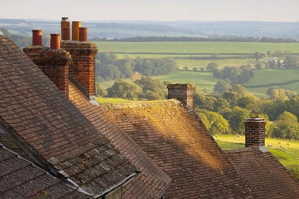 Rooftops of houses along Gold Hill, Shaftesbury, Dorset, England, United Kingdom, Europe