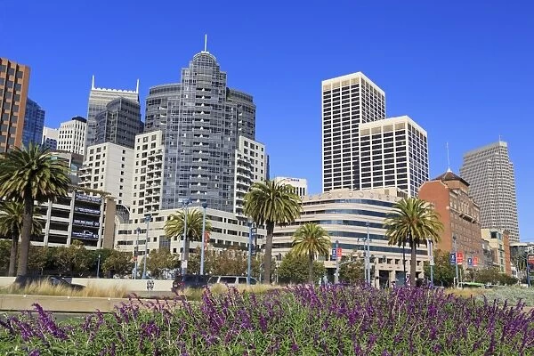 Skyscrapers on the Embarcadero, San Francisco, California, United States of America, North America