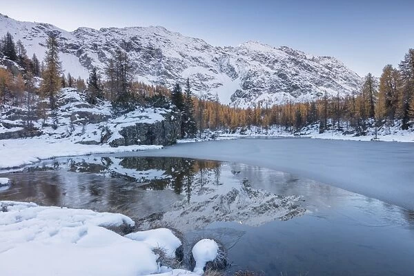 The snowy peaks are reflected in the frozen Lake Mufule, Malenco Valley, Province of Sondrio