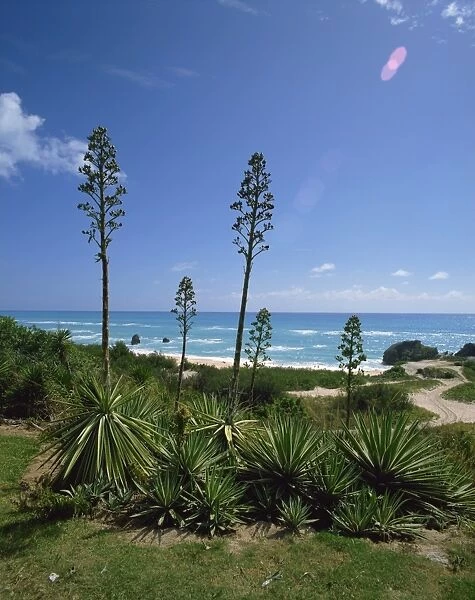 South coast, Bermuda, Central America, mid-Atlantic