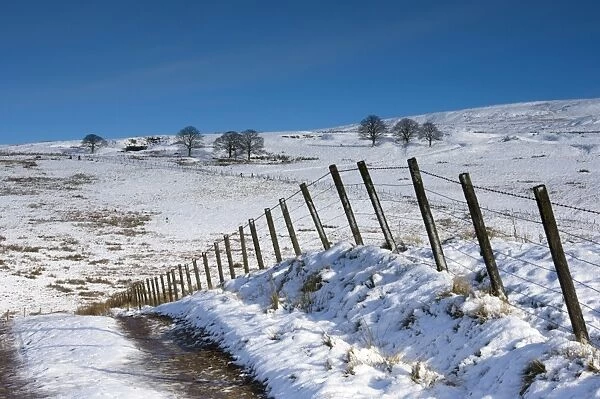 Track onto the fell in winter, Lower Pennines, Cumbria, England, United Kingdom, Europe