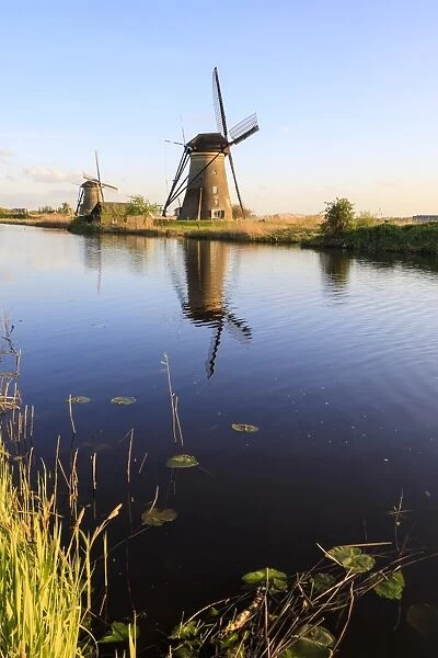 Typical windmills reflected in the canal framed by grass in spring, Kinderdijk, UNESCO