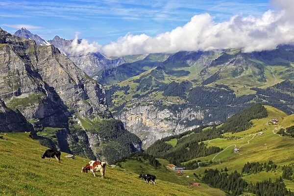 View from Kleine Scheidegg to Murren and Lauterbrunnen Valley, Grindelwald, Bernese Oberland