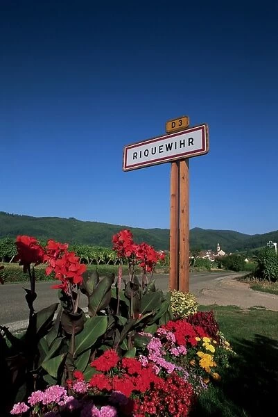 Village sign and flowers, Riquewihr, Haut-Rhin, Alsace, France, Europe