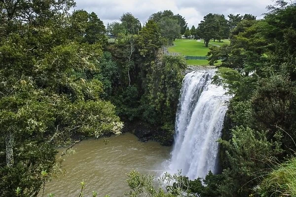 Whangarai Falls, North Island, New Zealand, Pacific