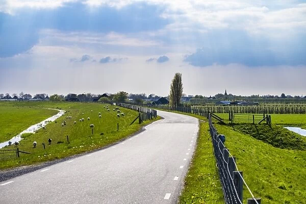 Winding rural road along the Zuiderdijk, Oosterleek, North Holland, Netherlands, Europe
