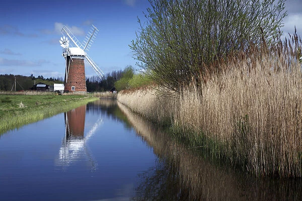 Horsey Mill Reflecting in Dyke, Norfolk Broads National Park, Norfolk, England