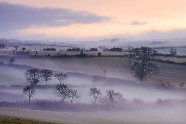 Mist lingers over the landscape by the Flitton Oak, Exmoor National Park, North Molton
