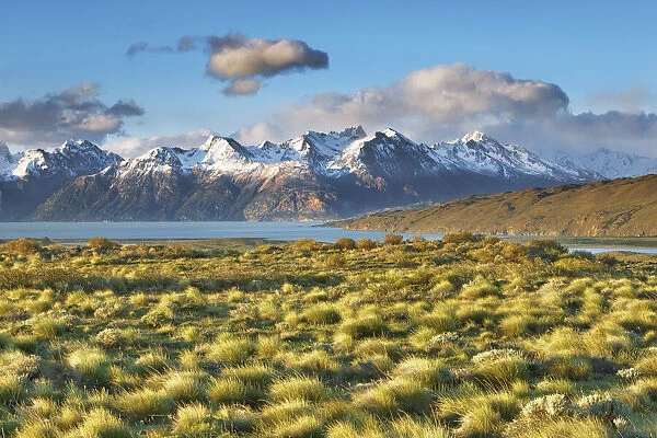 Pampa landscape at Lago Viedma - Argentina, Santa Cruz, Los Glaciares, El Chalten