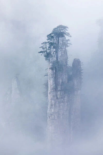 Tianzi mountain in the mist at sunrise, Zhangjiajie national forest park, Hunan, China