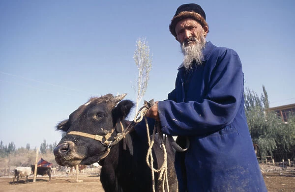 10003420. CHINA Xinjiang Kashgar Man with a cow at the Sunday Market