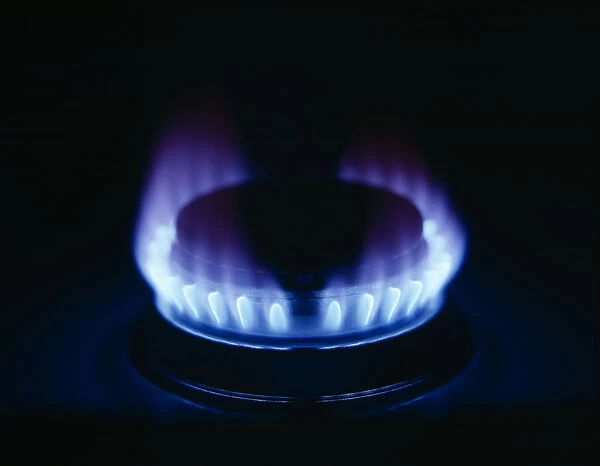10018941. food, cooking, blue flame on gas cooker ring