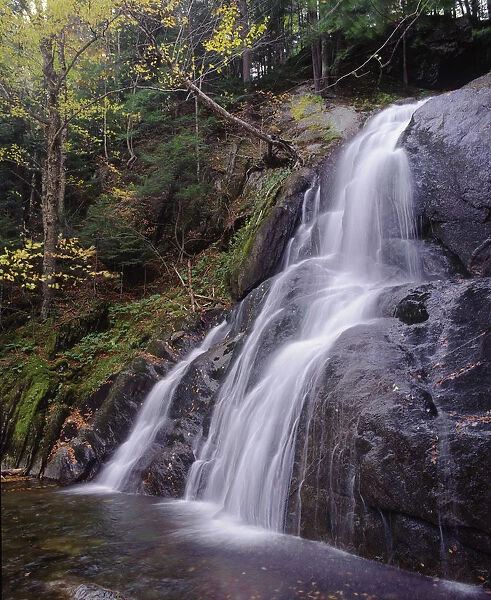 20005059. USA Vermont Green Mountain National Park Moss Glen Falls