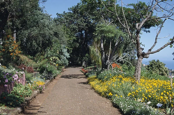 20030777. PORTUGAL Madiera Jardim Bontanico botanical gardens near Funchal