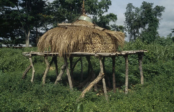 20048991. GHANA Eastern Region Maize store on raised platform with straw lid