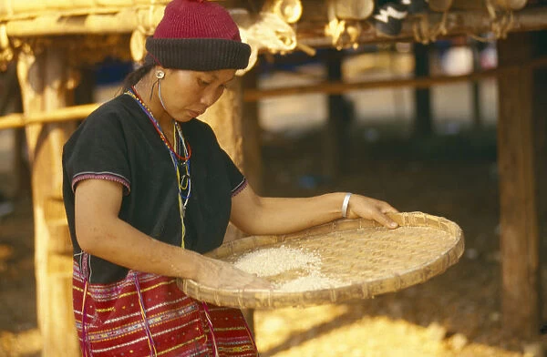 20063688. THAILAND Chiang Mai Sgaw Karen woman using a bamboo tray to sift pounded rice
