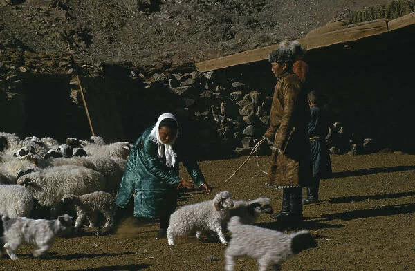 20087124. MONGOLIA Gobi Desert Khalkha winter sheep camp shepherd his father