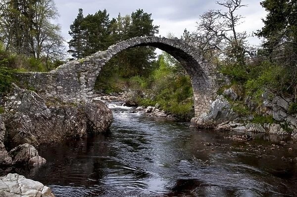 18th century stone packhorse bridge over river, River Dulnain, Carrbridge, Badenoch and Strathspey, Highlands