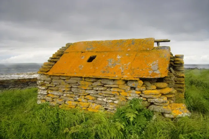 Framed Print : Abandoned farm building covered with lichen, Rerwick Head, Mainland, Orkney, Scotland, june Framed Print : Abandoned farm building covered with lichen, Rerwick Head, Mainland, Orkney, Scotland, june