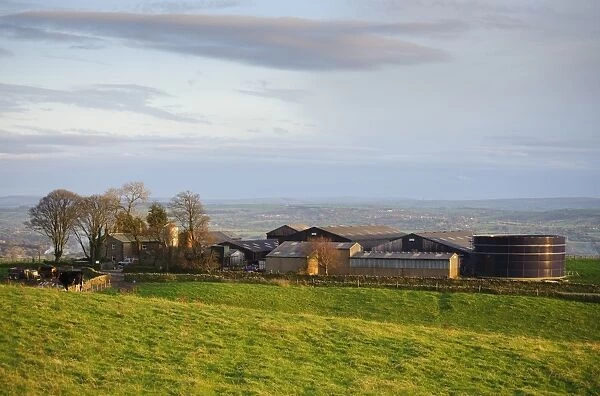 Forty Acre dairy farm in evening sunlight, Longridge Fell, Longridge, Preston, Lancashire, England, october
