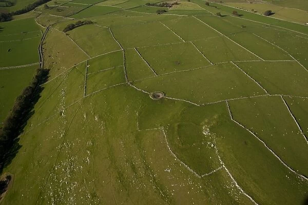 Aerial view of drystone walls, sheep in pasture and farm reservoir, White Peak, Peak District, Derbyshire, England